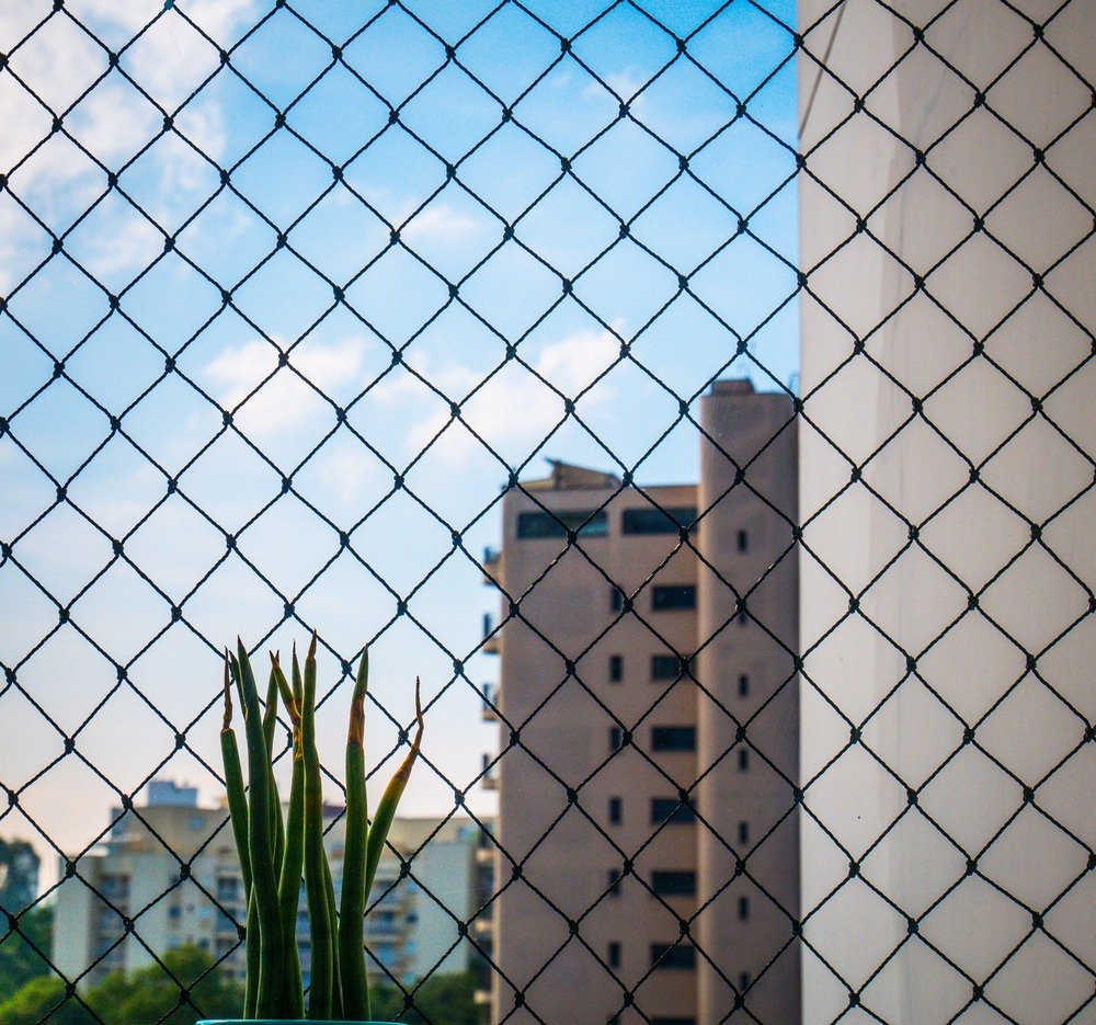 View,Through,A,Window,With,Safety,Net